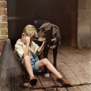 Le Câlin Éternel (1921) : Tendresse Vintage | Fuzars Photographie historique colorisée de 1921 montrant un petit garçon en pleurs, assise sur un banc en pierre et réconfortée par un chien de berger posant sa tête sur son épaule.