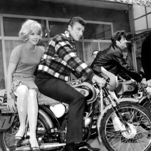 Affiche Johnny Hallyday et Sylvie Vartan